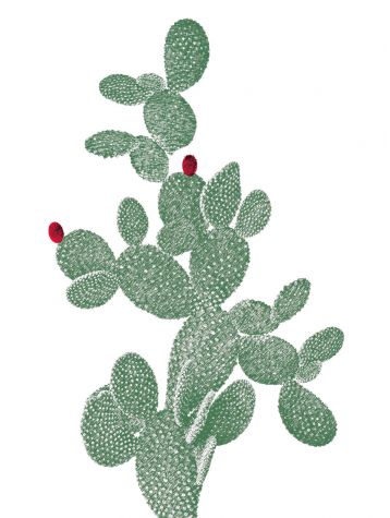 Racket cactus- Grands Stickers 