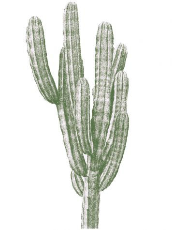 Finger cactus - Grands Stickers