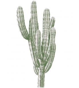 Finger cactus- Grands Stickers 