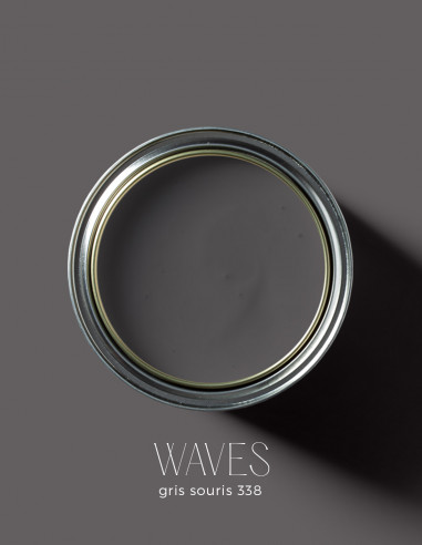 Paint - Waves Gris souris 1L- 338