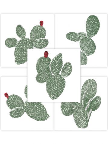 Cactus Opuntia - 5 stickers 20 x 20...